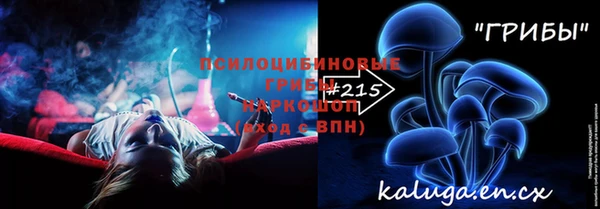 2c-b Козельск
