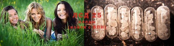 2c-b Козельск