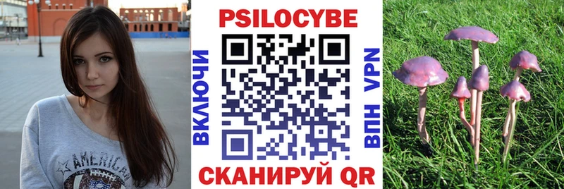 Псилоцибиновые грибы Psilocybe Купить Белая Холуница
